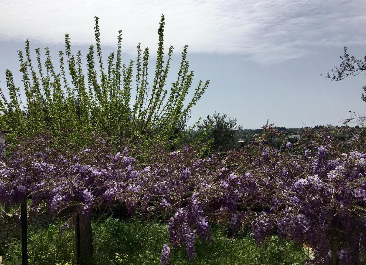 Villa Enea מונופולי מראה חיצוני תמונה